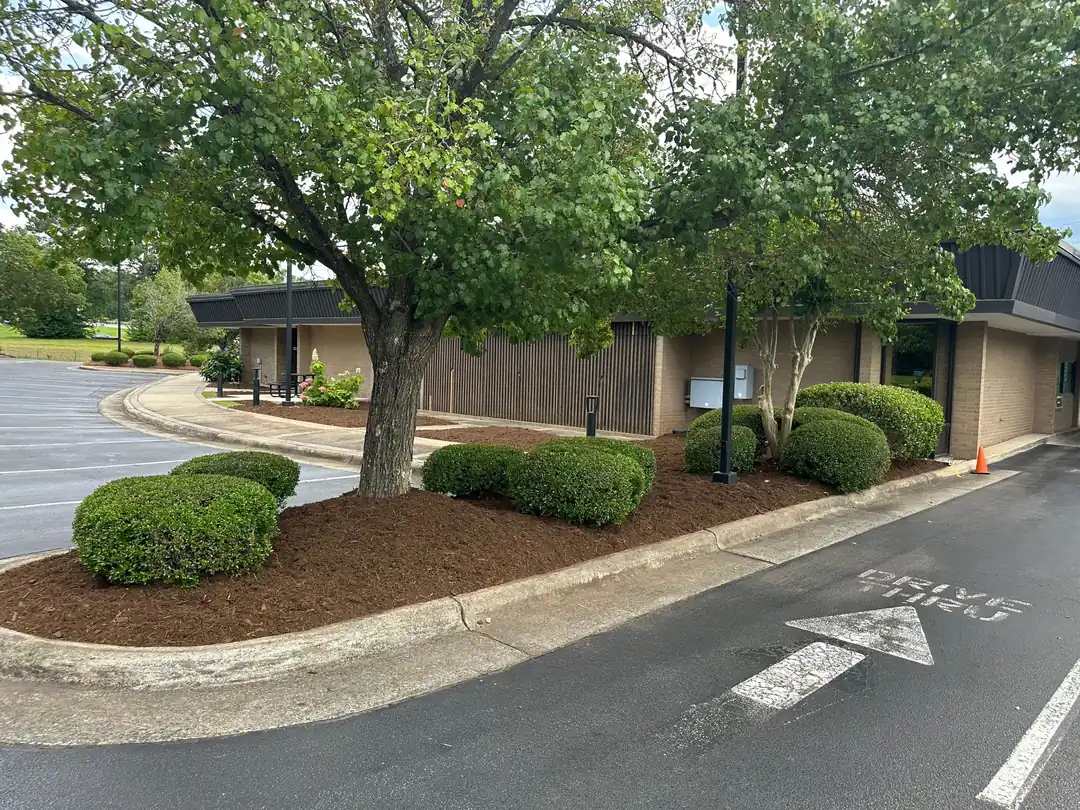 Commercial landscape maintenance with trimmed shrubs and clean beds in Sanford NC