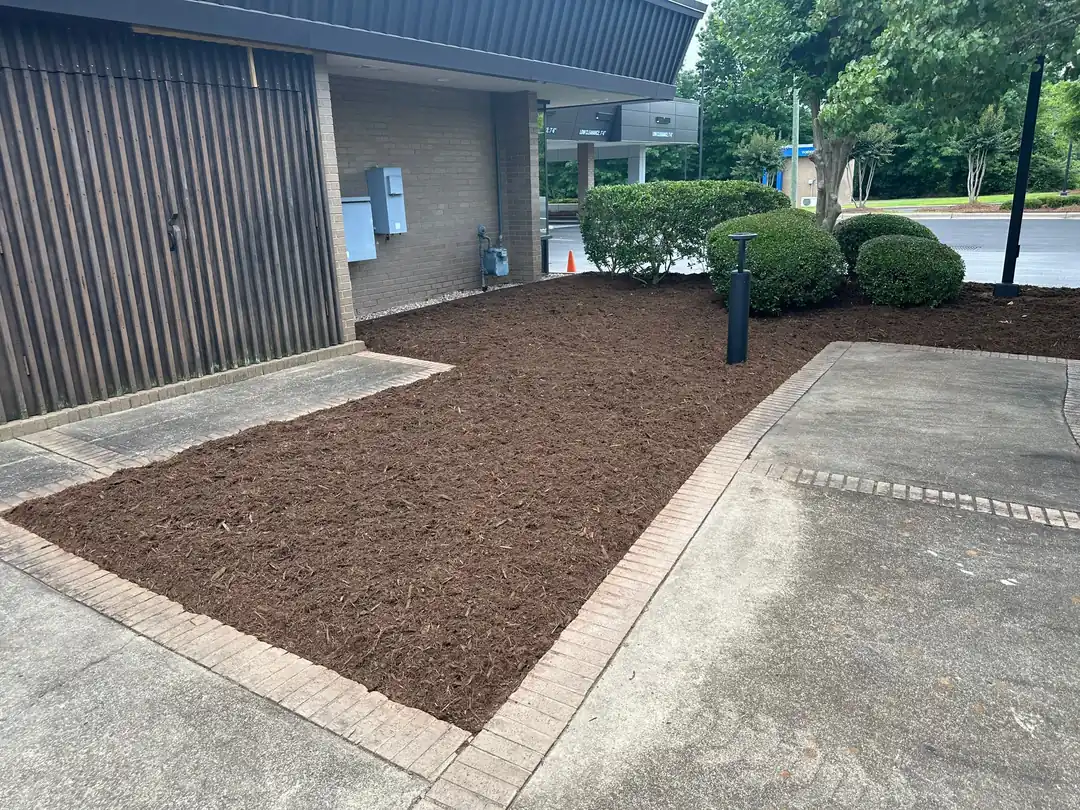 Fresh commercial mulch installation and bed edging at a Sanford NC commercial property