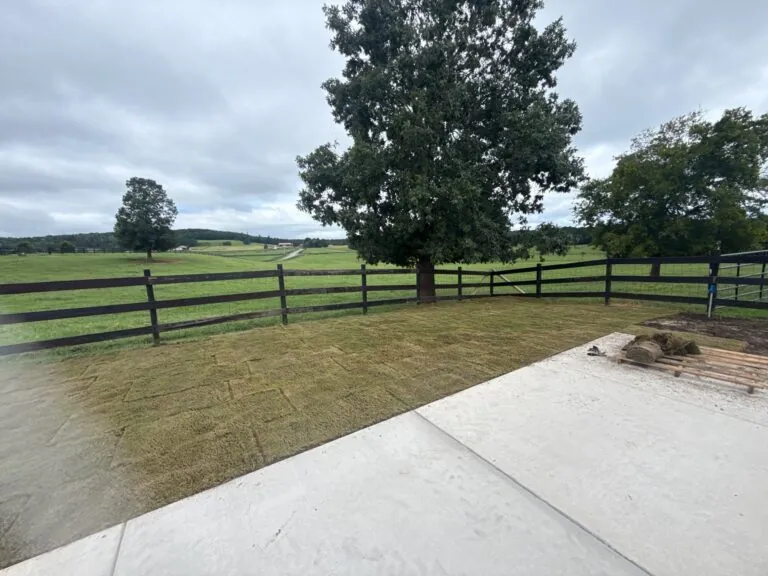 Healthy green lawn with fence line maintained by Green Garden
