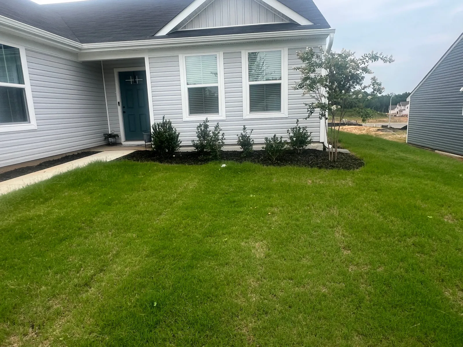 Freshly mowed green lawn in front of a gray single-story home with new shrubs along the front bed in Sanford, NC