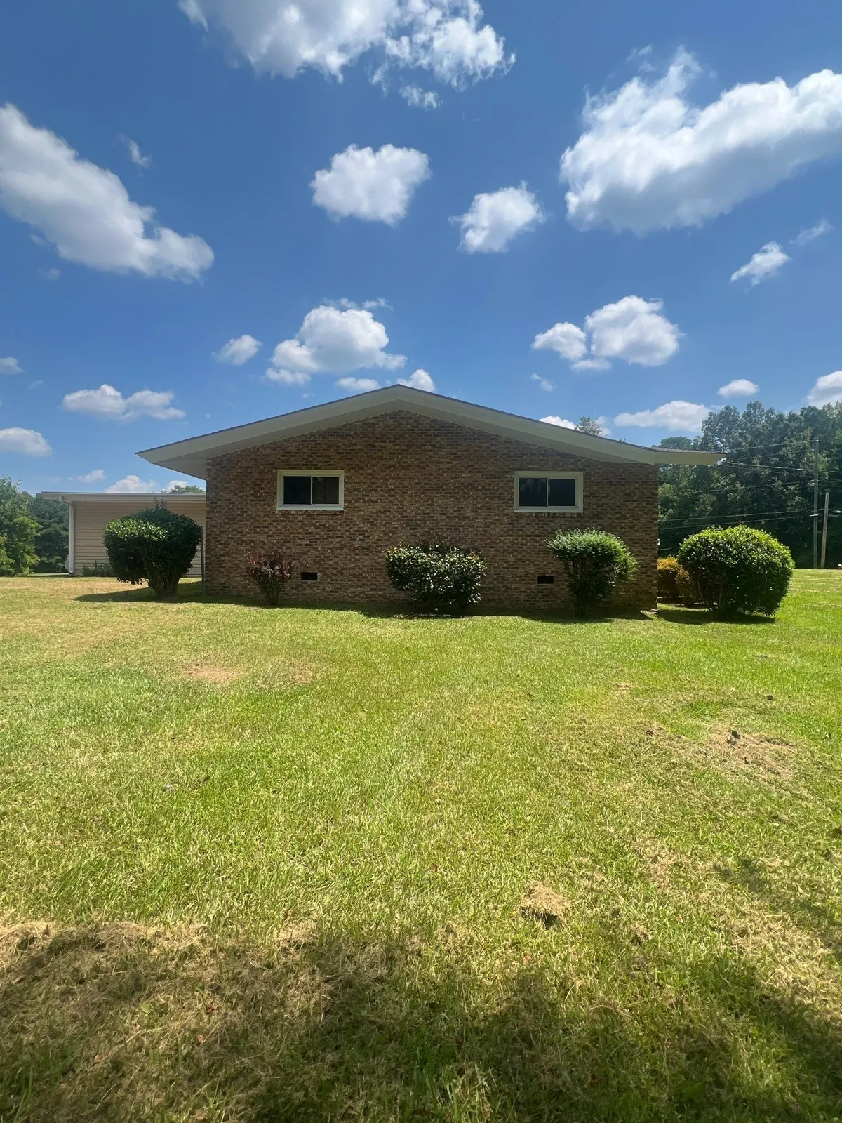 Mowed lawn and rounded shrubs beside a brick ranch home under a blue sky