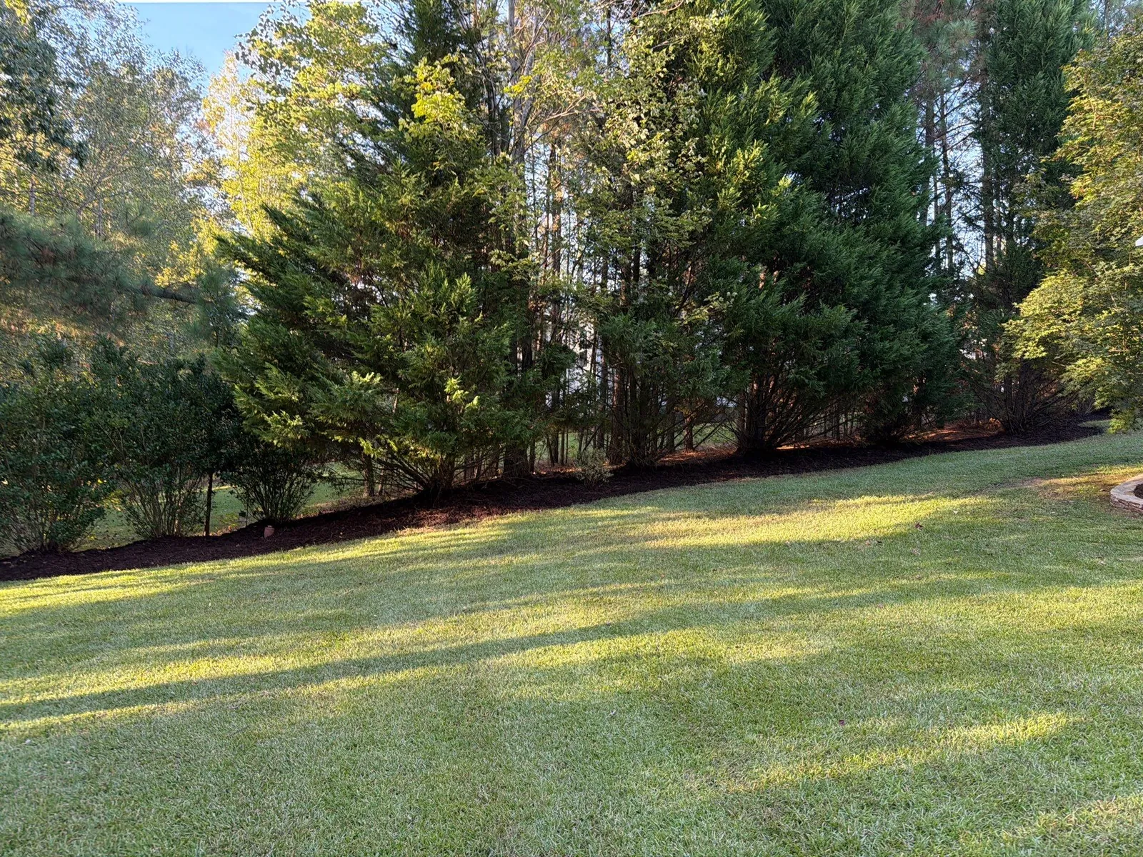 Healthy striped lawn bordered by a mulched tree line
