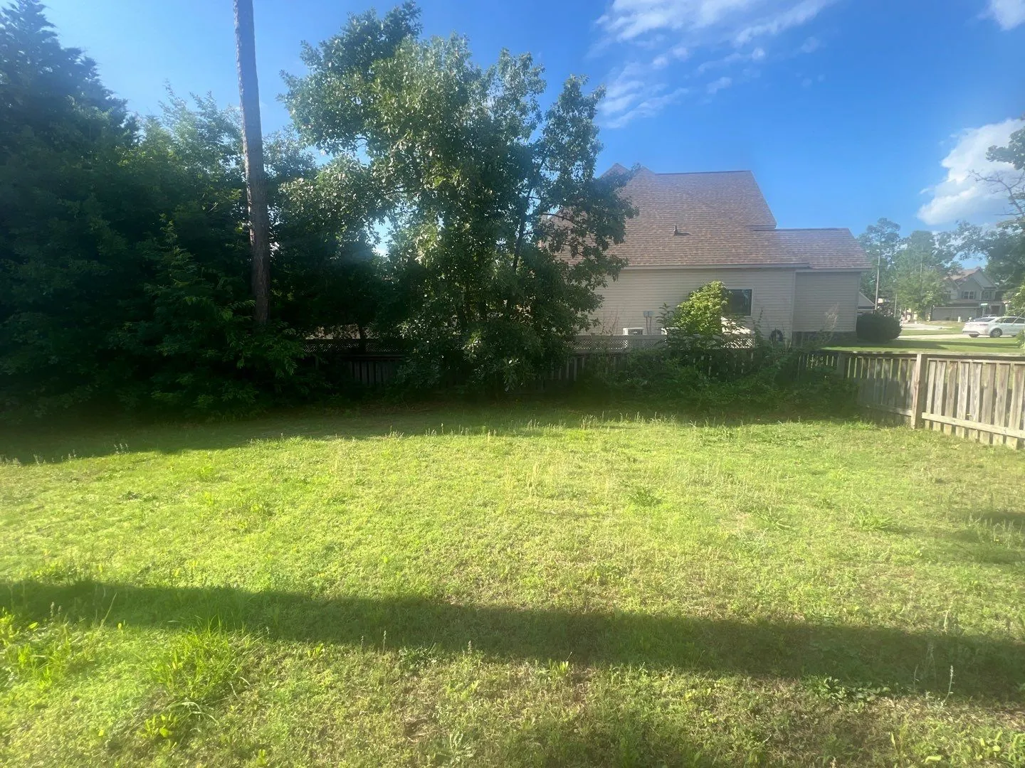 Mowed backyard lawn with a wooden fence and trees in the background