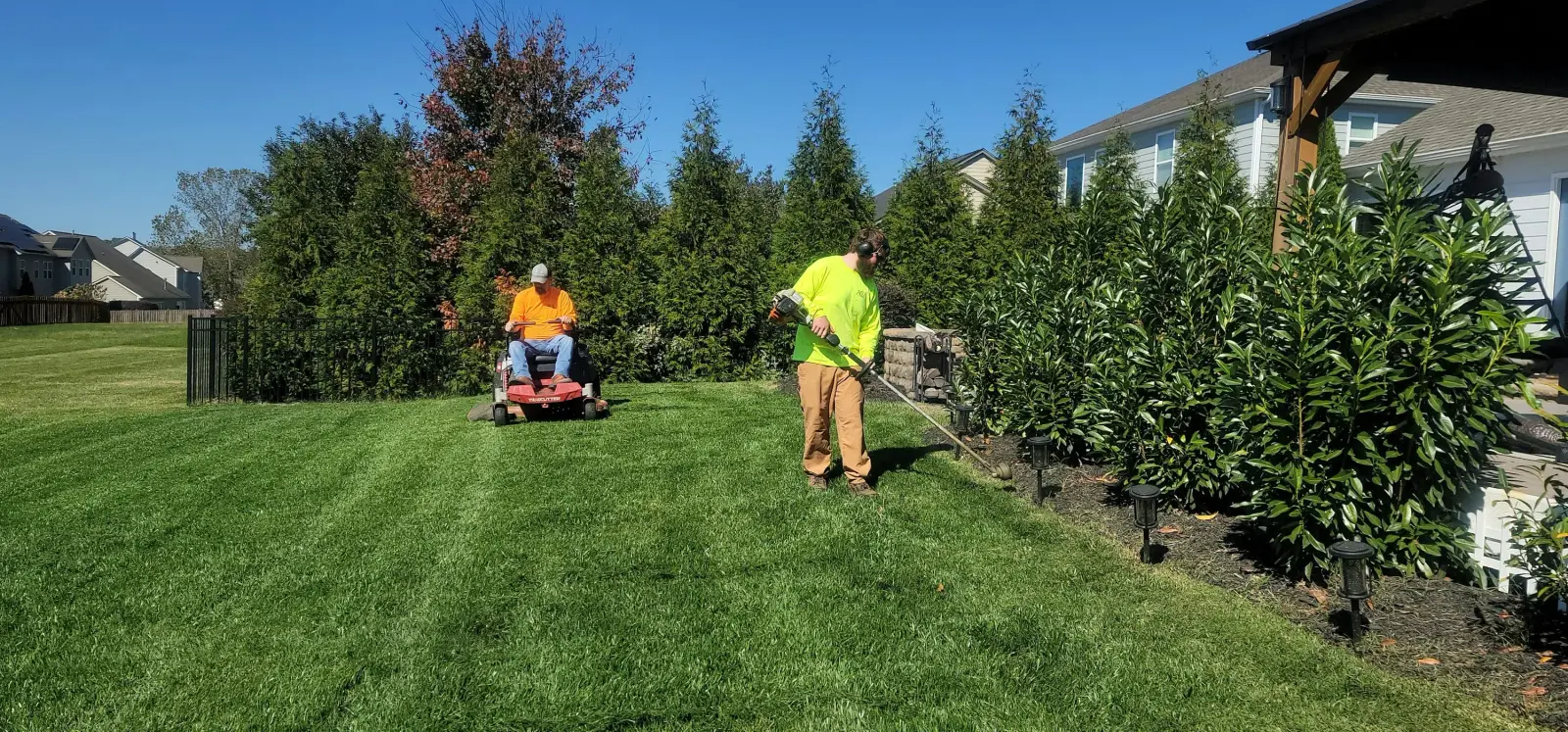 The Complete Spring Lawn Care Guide for North Carolina Homeowners