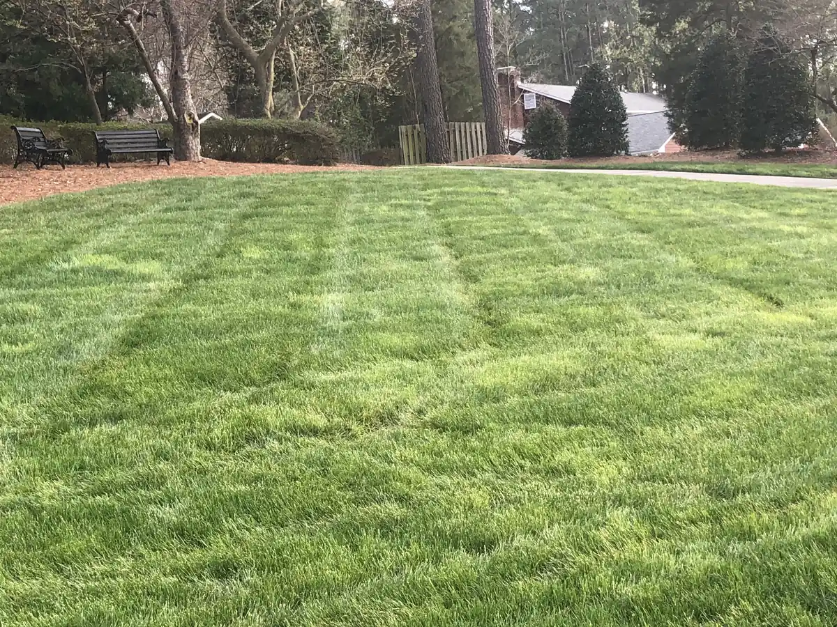 Lawn Mowing project by Green Garden Landscaping in central NC