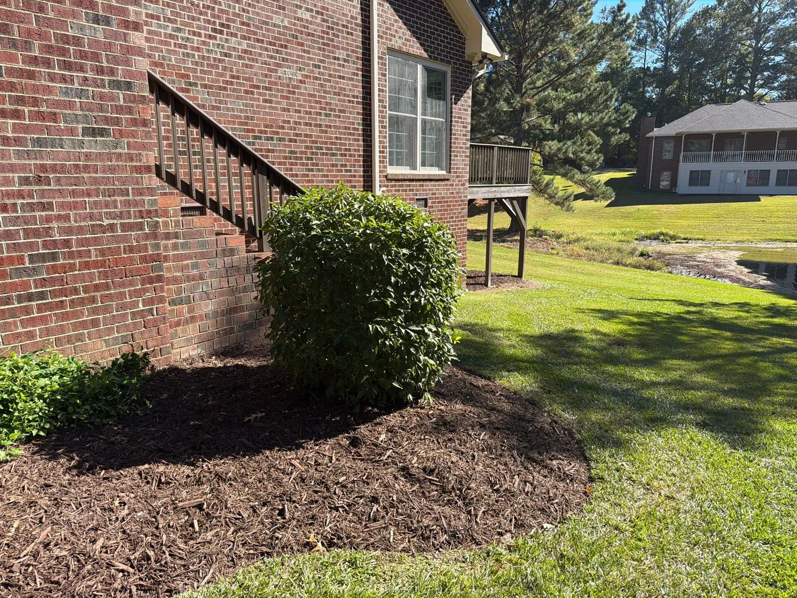 Fresh brown mulch around a trimmed shrub beside a brick home and green lawn in Sanford, NC