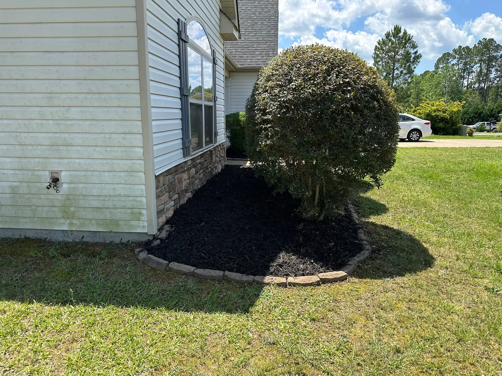 Round shrub in a freshly edged black mulch bed next to a lawn