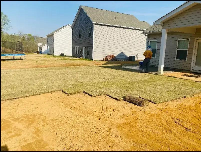 Fresh Bermuda sod installation on residential property